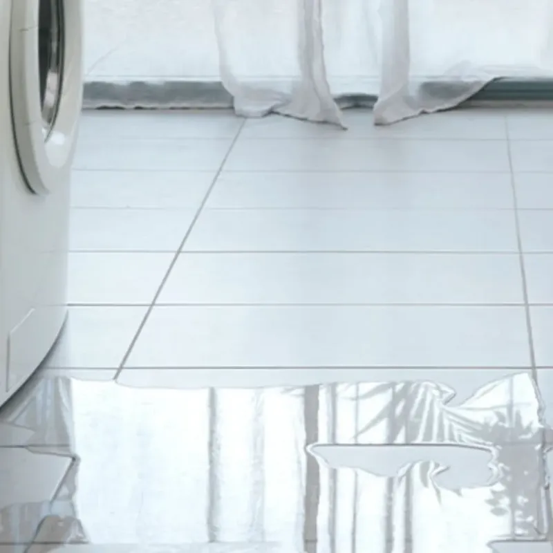 Appliance Leak Cleanup in Speers, PA