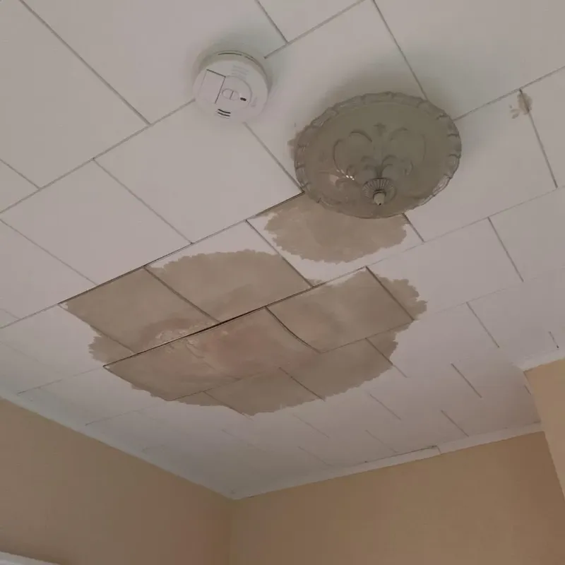 Ceiling Water Damage Repair in Speers, PA