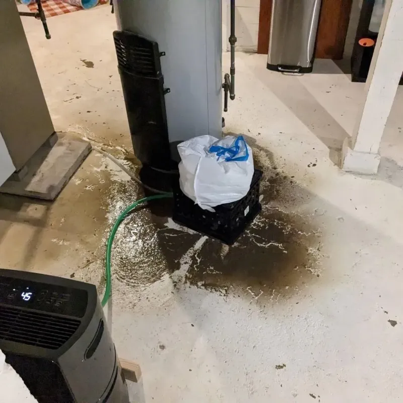 Sewage Backup Cleanup Service in Speers, PA